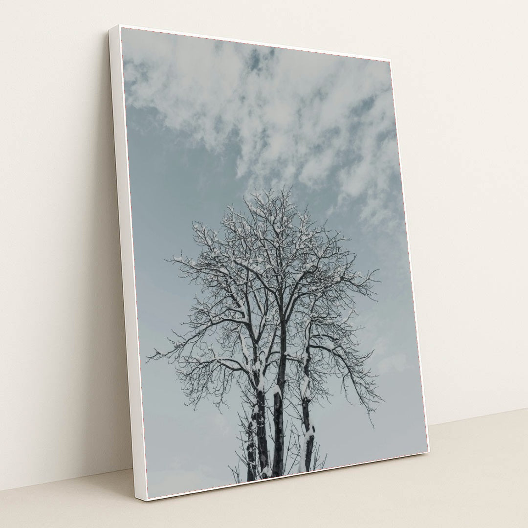 7090356846627 - Product Image