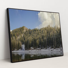 7090355011619 - Product Image