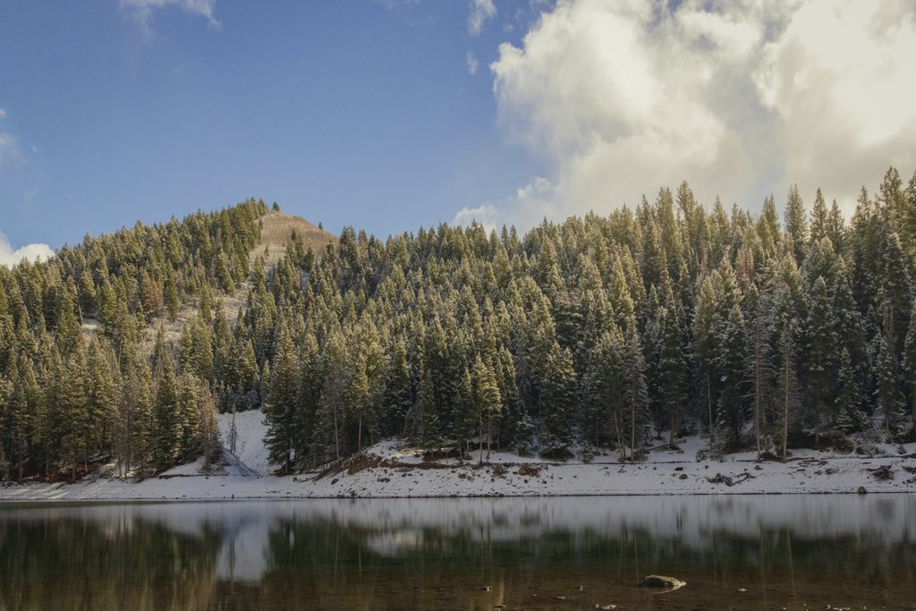 Matthew Harmon - Snowy Forest Reflection By Tranquil Lake