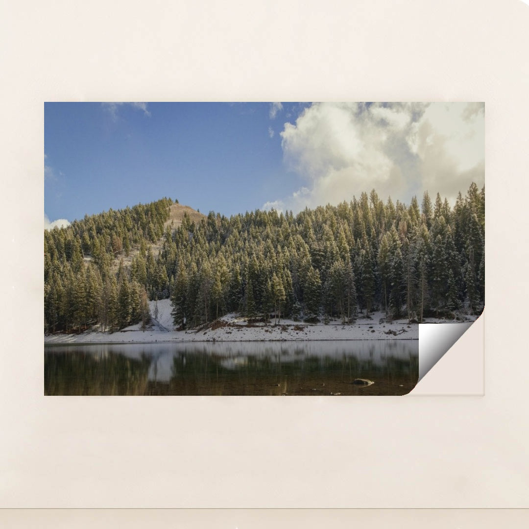 7090355011619 - Product Image