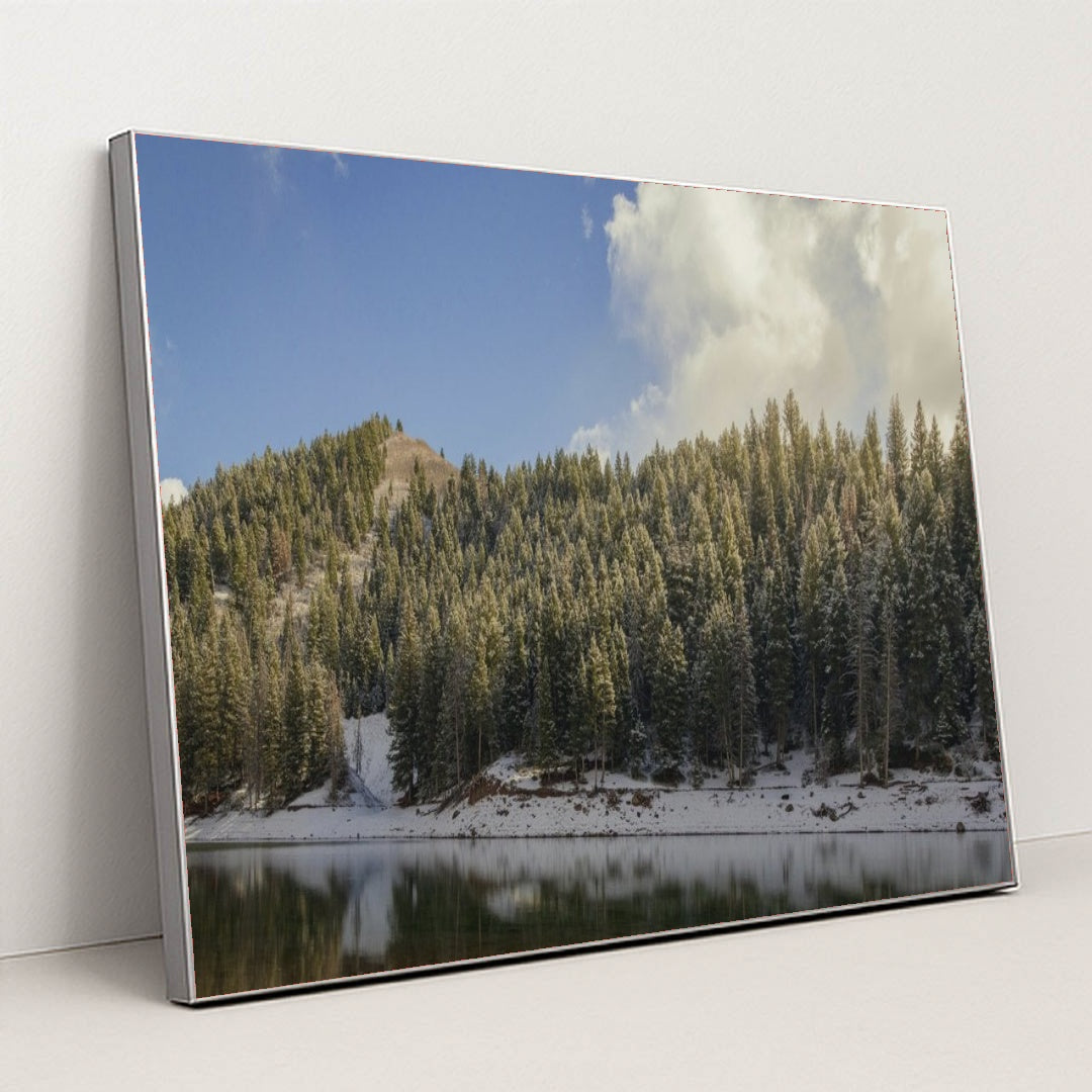 7090355011619 - Product Image