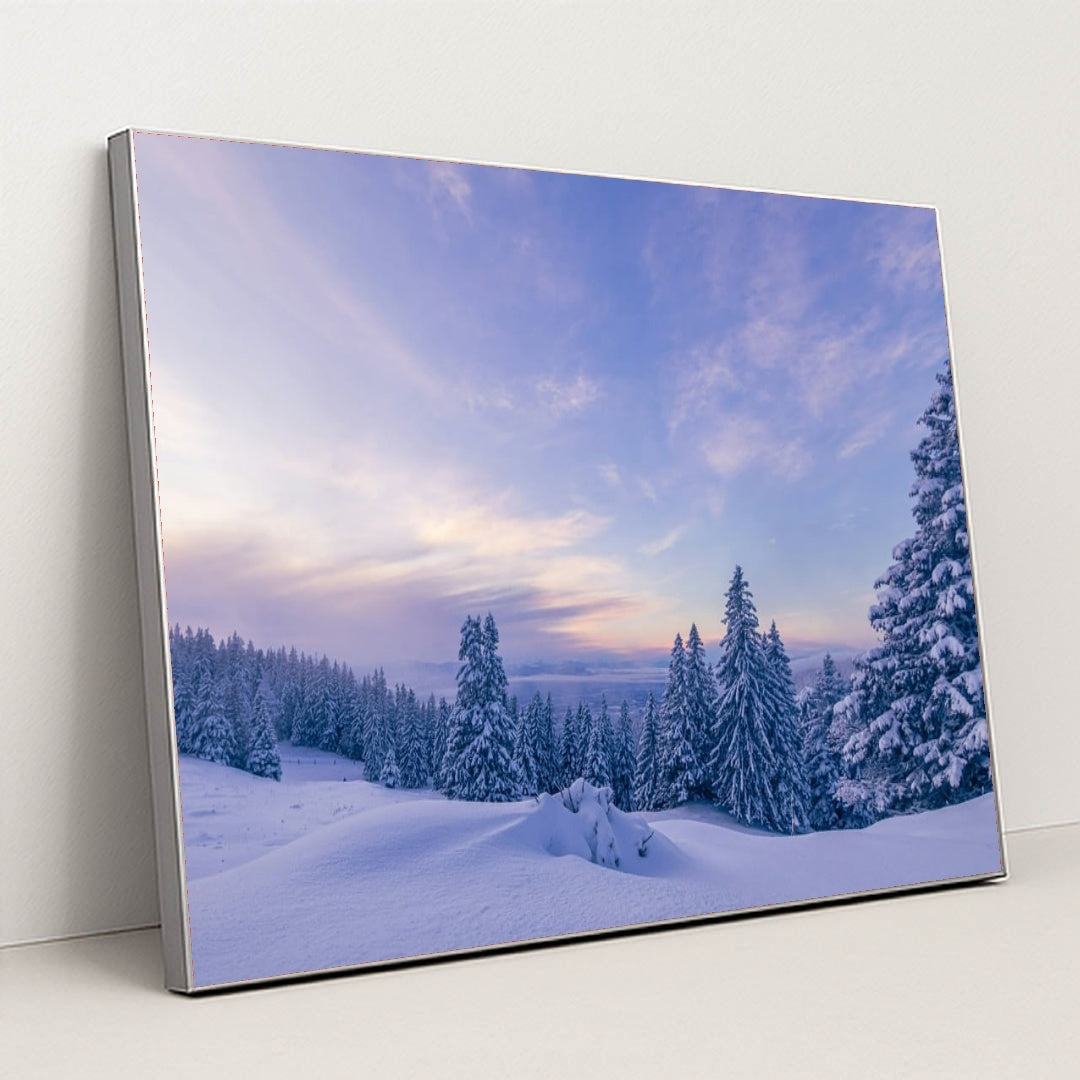 6366 - Product Image