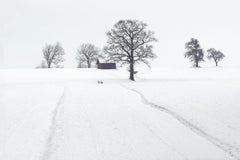 Simon Berger - A tranquil snowy landscape with frosty trees and a wooden cabin in winter.