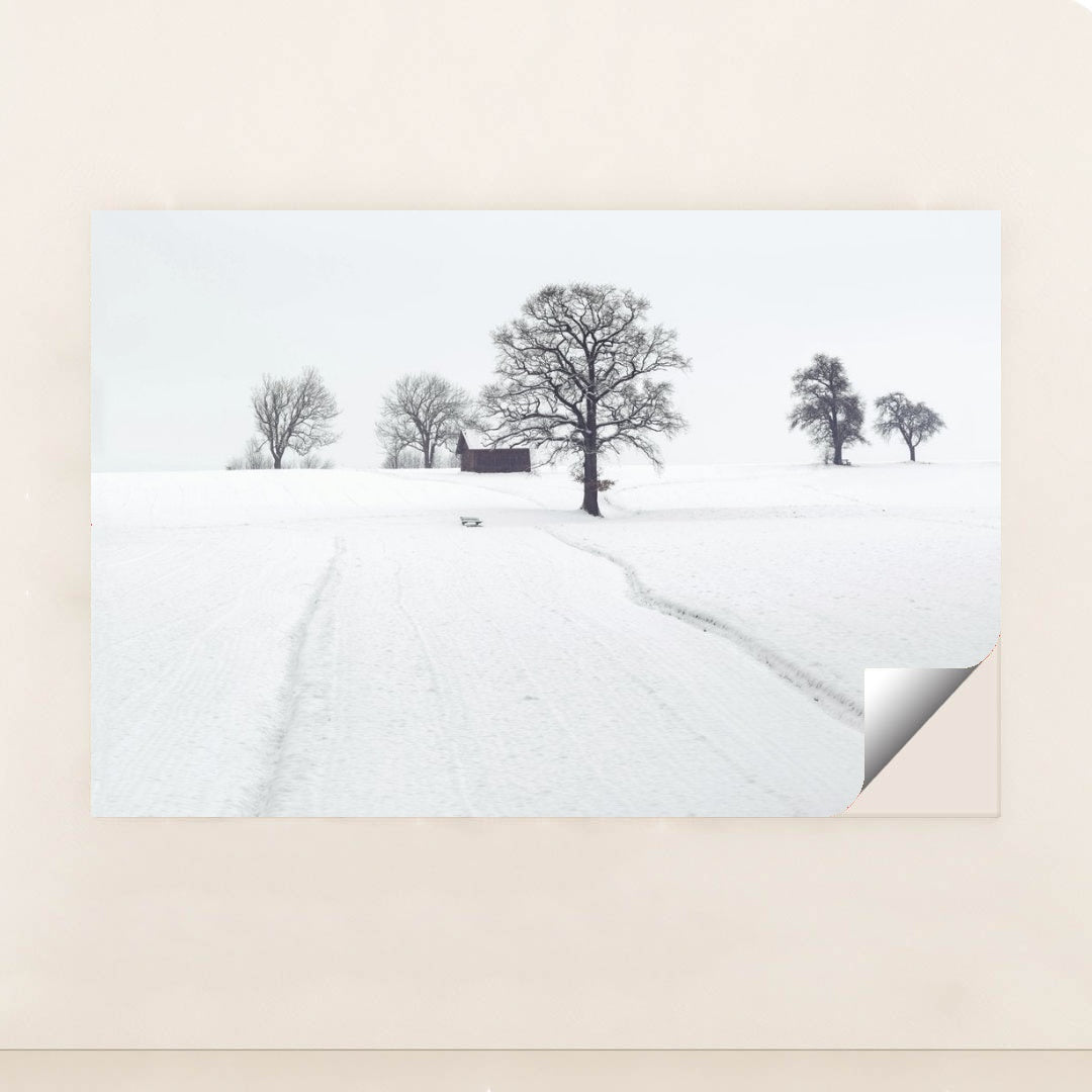 7090333122595 - Product Image