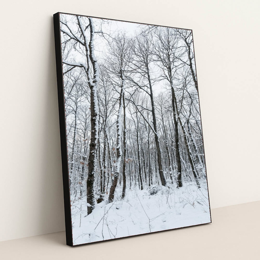 7090352816163 - Product Image