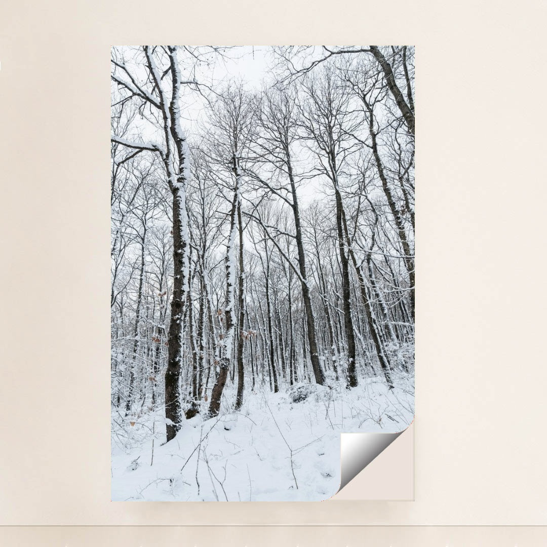 7090352816163 - Product Image