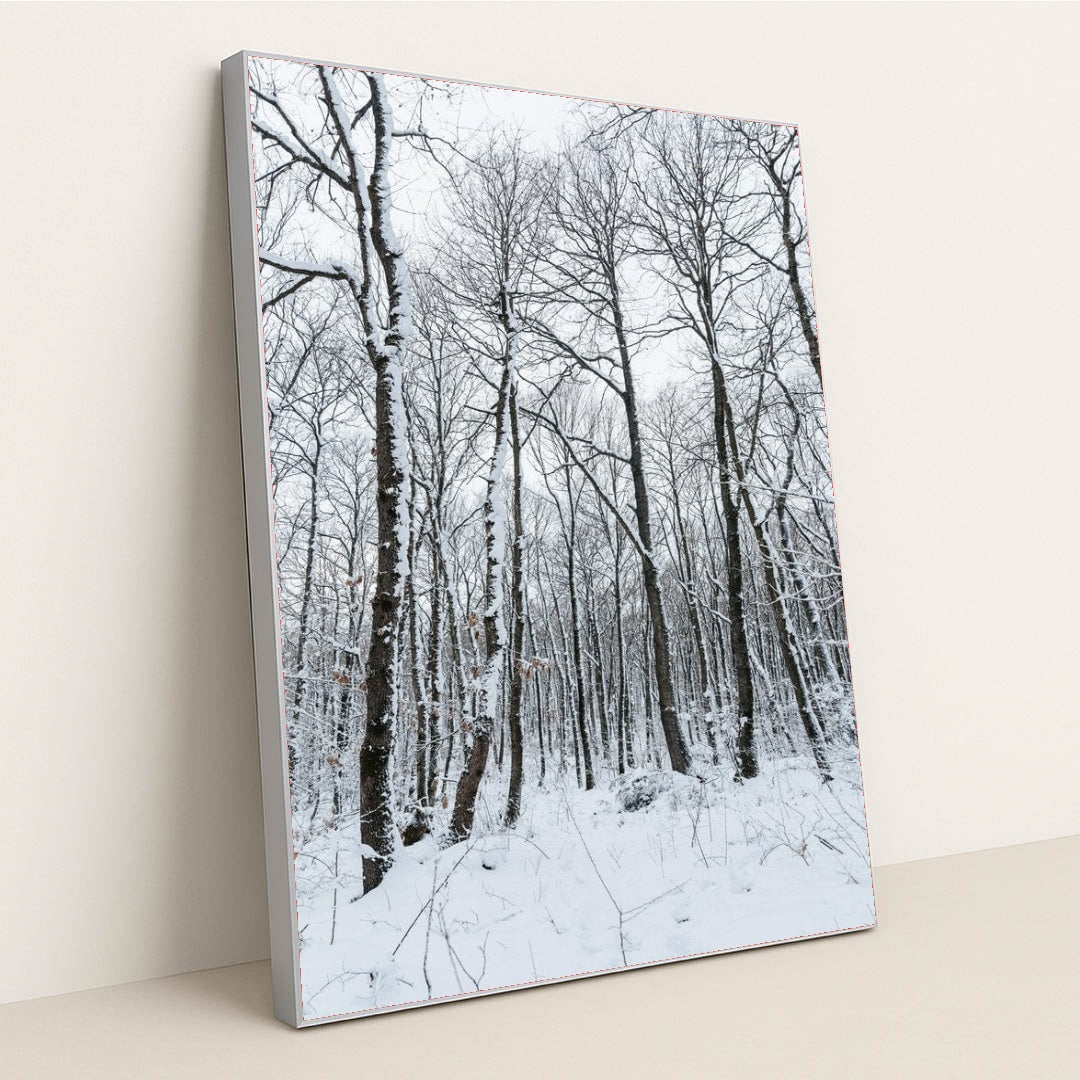 7090352816163 - Product Image