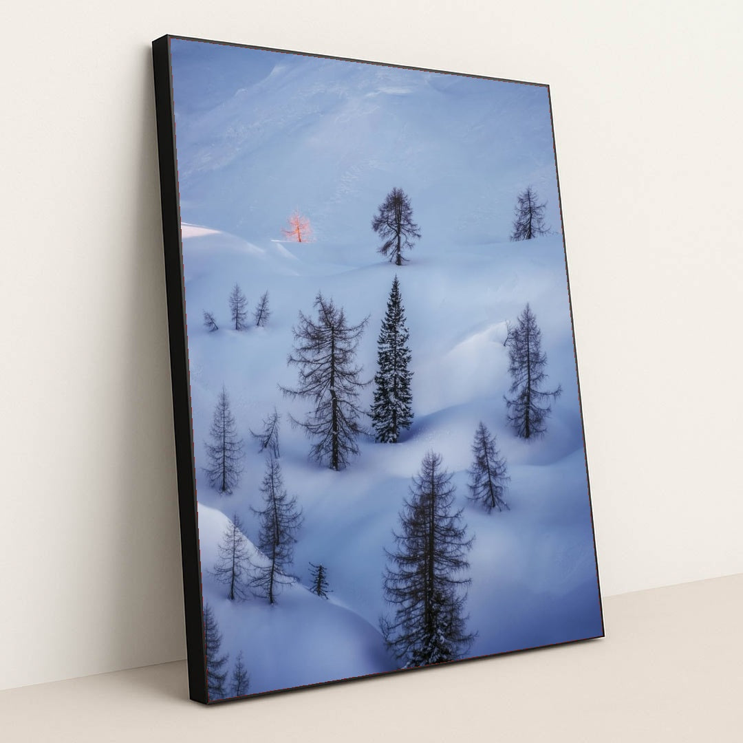 6360 - Product Image