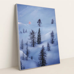 6360 - Product Image