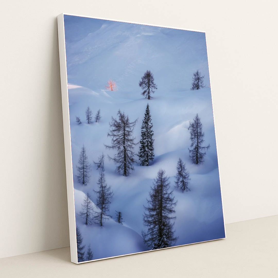 6360 - Product Image