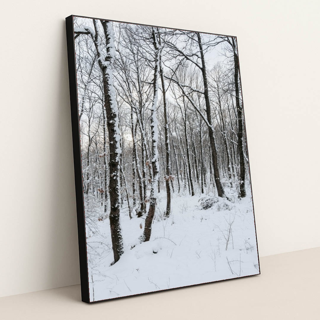 7090332172323 - Product Image