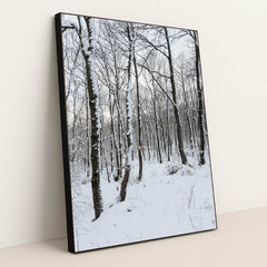 7090332172323 - Product Image