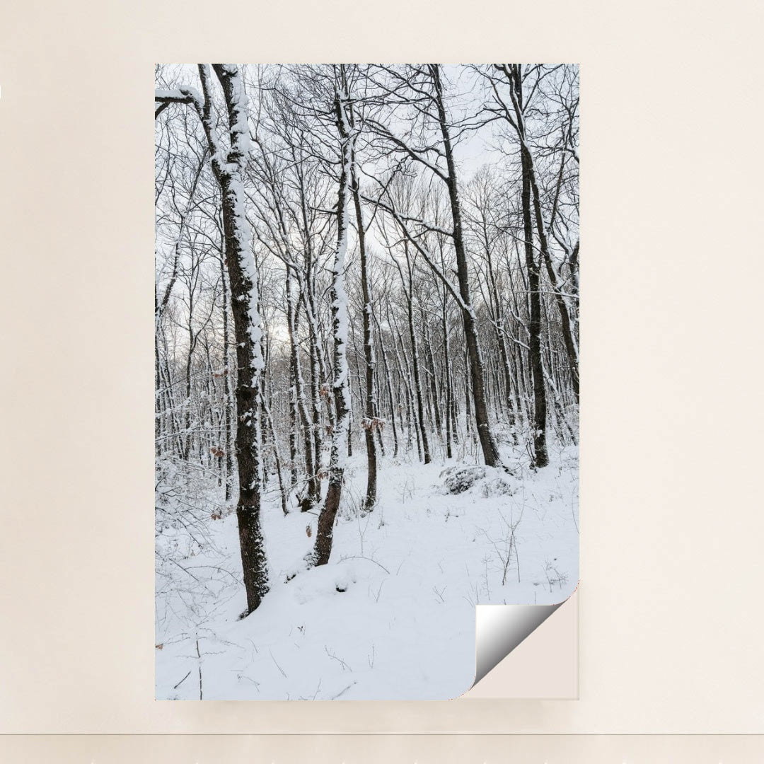 7090332172323 - Product Image