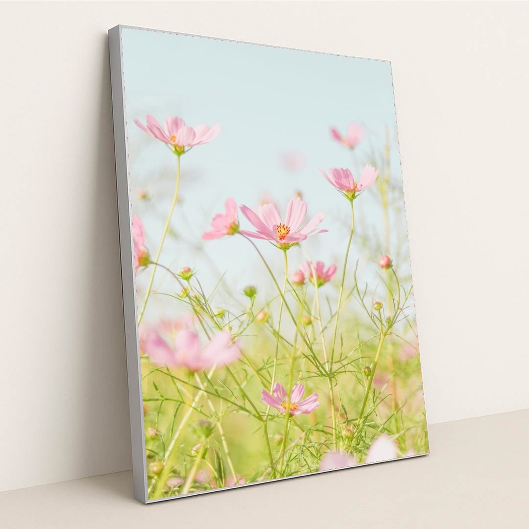 Soft Pink Cosmos in Morning Light by Jei Lee - Silver Frame Stretchiez