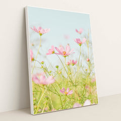 Soft Pink Cosmos in Morning Light by Jei Lee - White Frame Stretchiez