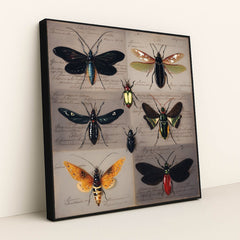 Specimen Wings by Seven Akins - Black Frame Stretchiez