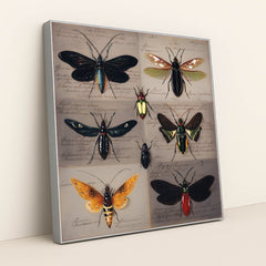 Specimen Wings by Seven Akins - Silver Frame Stretchiez
