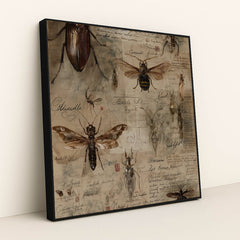 Specimens of the Forgotten by Seven Akins - Black Frame Stretchiez