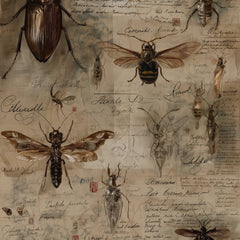Specimens of the Forgotten by Seven Akins