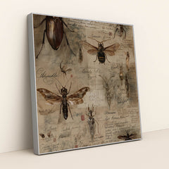 Specimens of the Forgotten by Seven Akins - Silver Frame Stretchiez