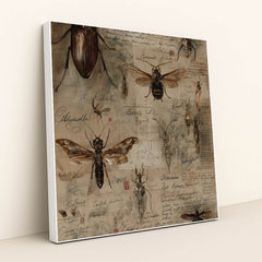 Specimens of the Forgotten by Seven Akins - White Frame Stretchiez