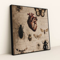 Specimens of the Heart by Seven Akins - Black Frame Stretchiez