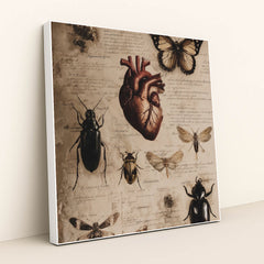 Specimens of the Heart by Seven Akins - White Frame Stretchiez