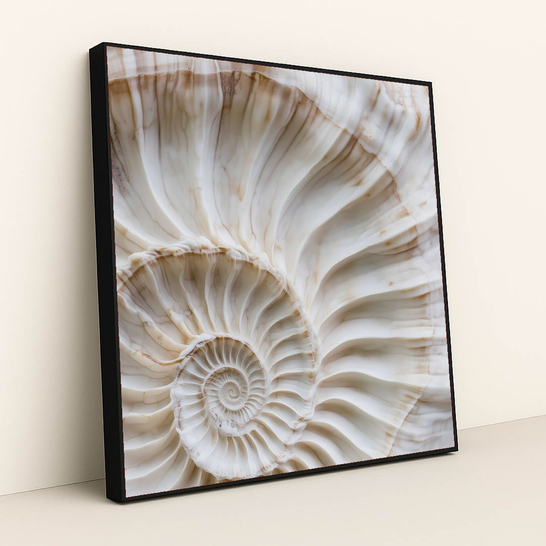 This artwork shows a close-up of a white and beige spiral shell with fine ridges and natural marbling, in a black frame.