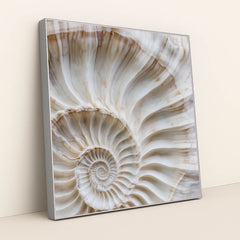 This artwork shows a close-up of a white and beige spiral shell with fine ridges and natural marbling, in a silver frame.