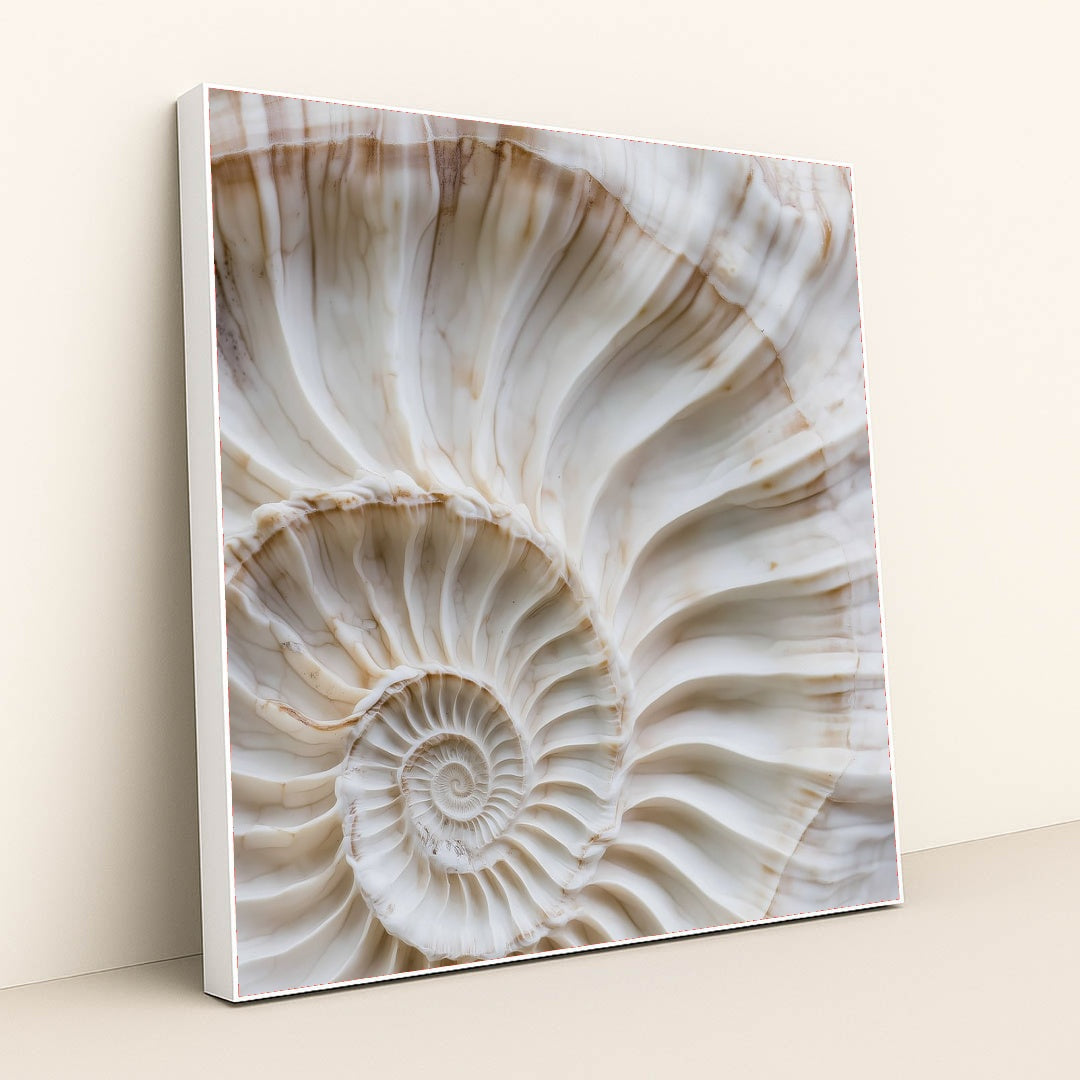 This artwork shows a close-up of a white and beige spiral shell with fine ridges and natural marbling, in a white frame.