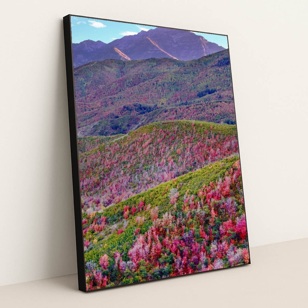 Spring Mosaic in the Mountains by Nils Rasmusson - Black Frame Stretchiez