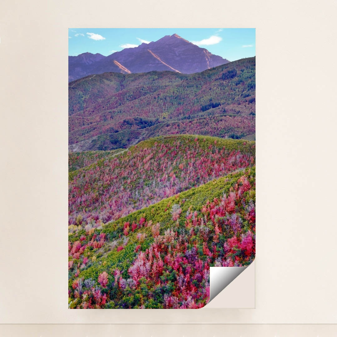 Spring Mosaic in the Mountains by Nils Rasmusson - Peeliez