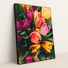 Spring Tulip Burst by Anton Darius - Black Frame Stretchiez