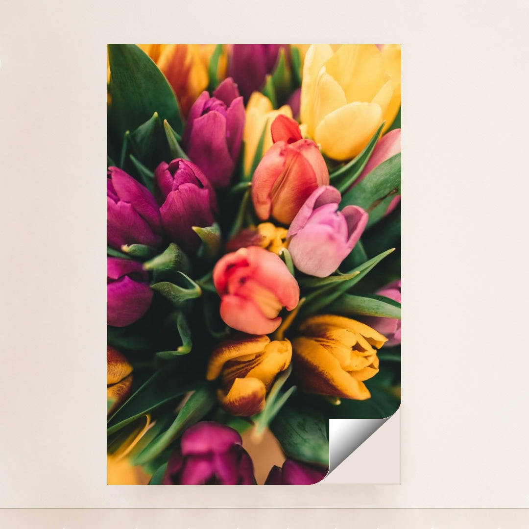 Spring Tulip Burst by Anton Darius - Peeliez