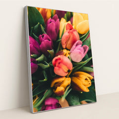 Spring Tulip Burst by Anton Darius - Silver Frame Stretchiez