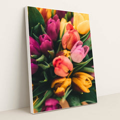 Spring Tulip Burst by Anton Darius - White Frame Stretchiez