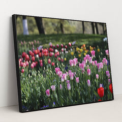 Vibrant Spring Tulip Garden by Paul Bai - Black Frame Stretchiez