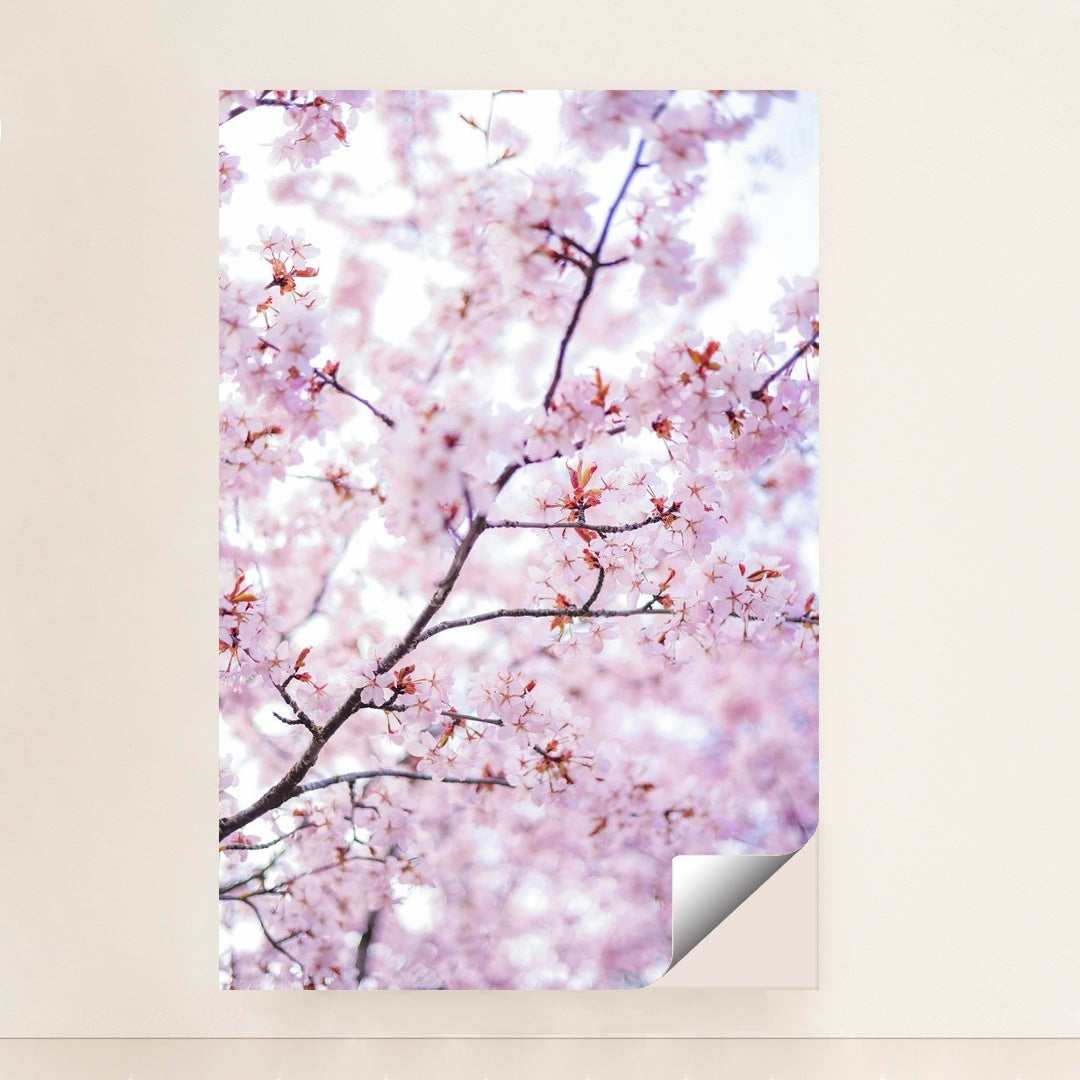 Springtime Blossom Beauty by Valeria Boltneva - Peeliez