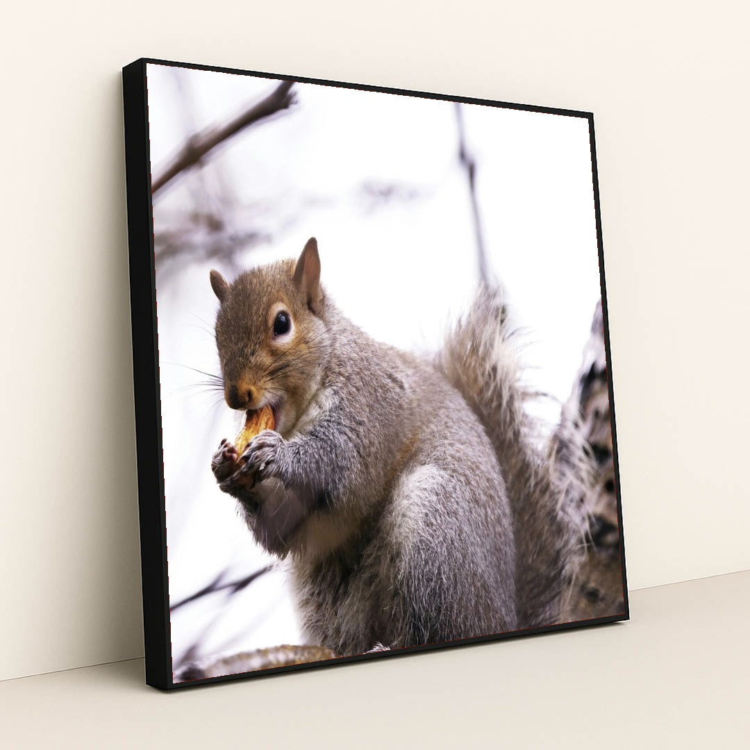 7090328469539 - Product Image