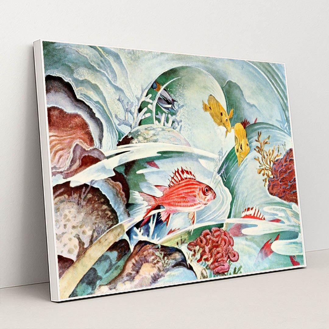 Squirrel fish of Honolulu (1929-1932) by Stephen Haweis - White Frame Stretchiez