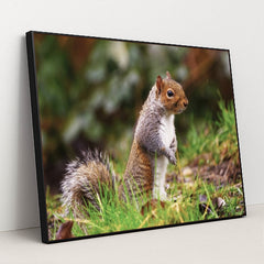 7090350719011 - Product Image