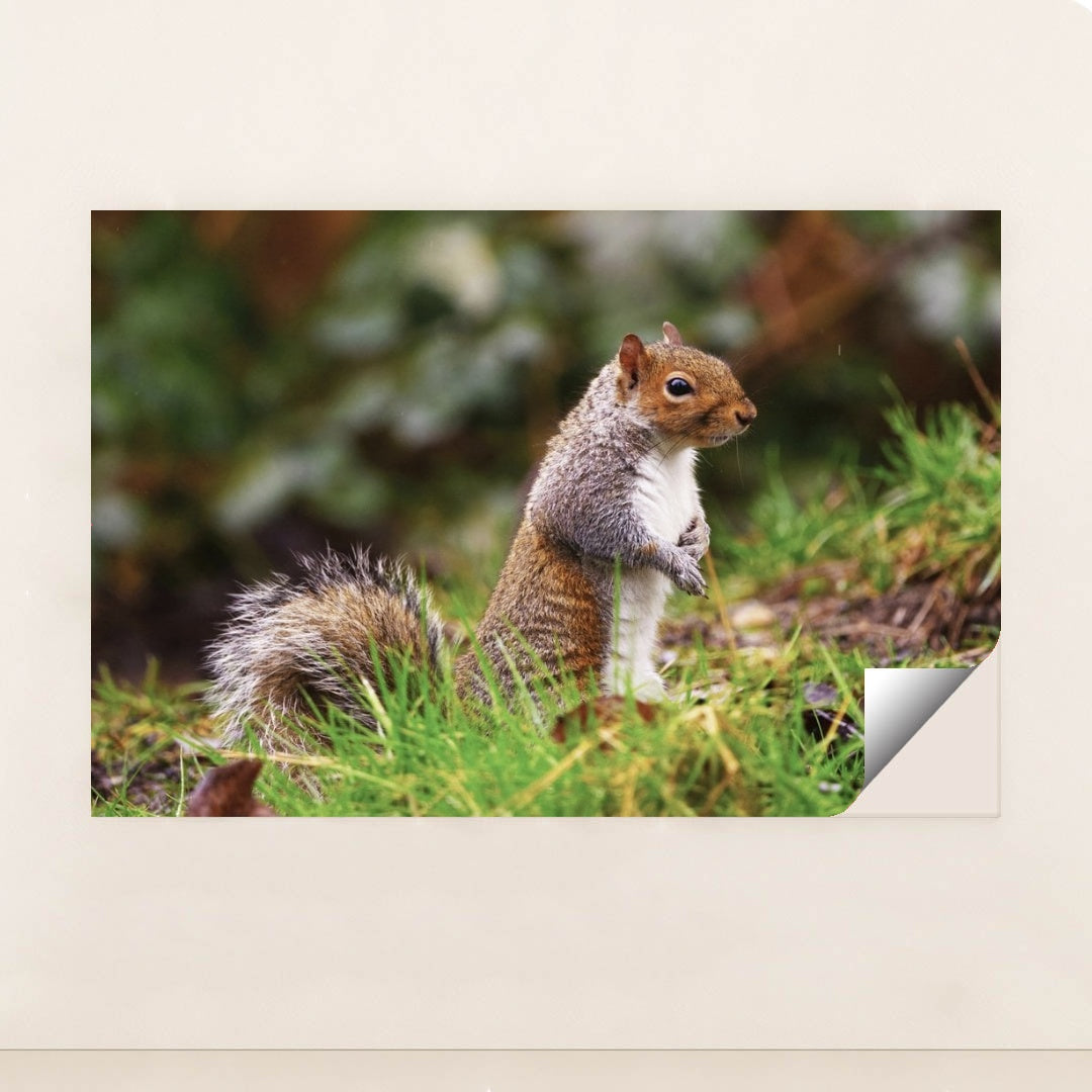 7090350719011 - Product Image