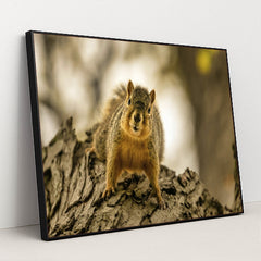 7090343706659 - Product Image