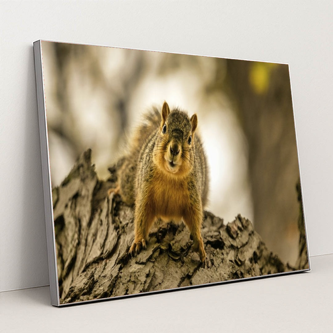 7090343706659 - Product Image