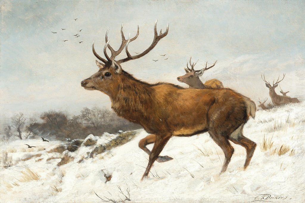 Stags in the Snow by Carl Friedrich Deiker