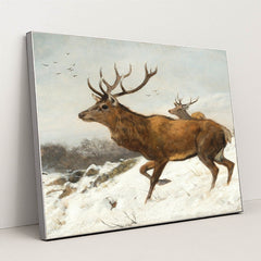 Stags in the Snow by Carl Friedrich Deiker - Silver Frame Stretchiez