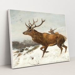 Stags in the Snow by Carl Friedrich Deiker - White Frame Stretchiez