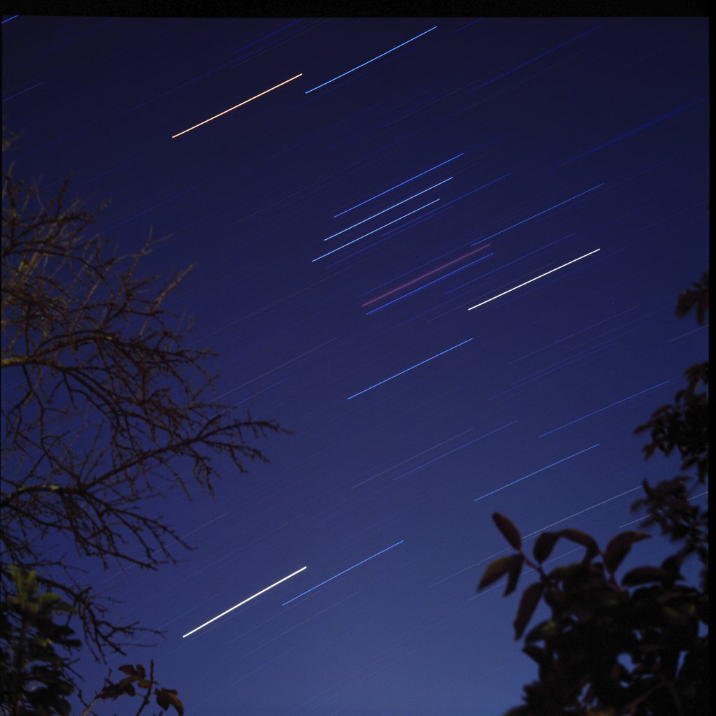 Nikita Zadykhin - A stunning long exposure capture of star trails with silhouetted trees in the foreground.