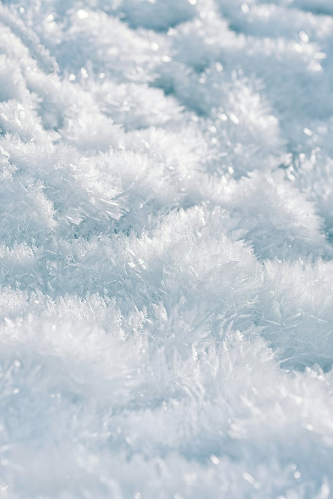 What the Cold Leaves Behind by Simon Berger