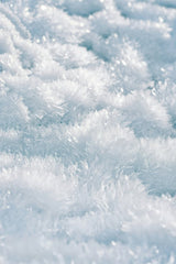 What the Cold Leaves Behind by Simon Berger